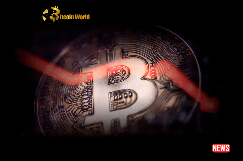 Bitcoin’s Decline: Is the Storm Finally Passing?