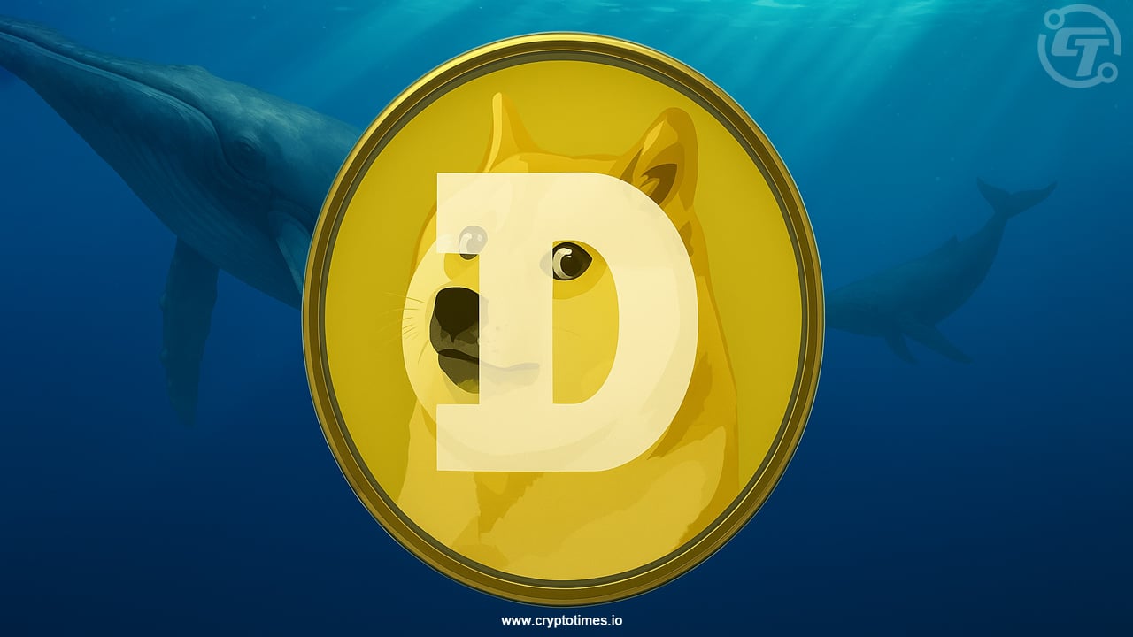 Whales Stand Firm as Dogecoin Risks Sharp Drop Amid Market Strain