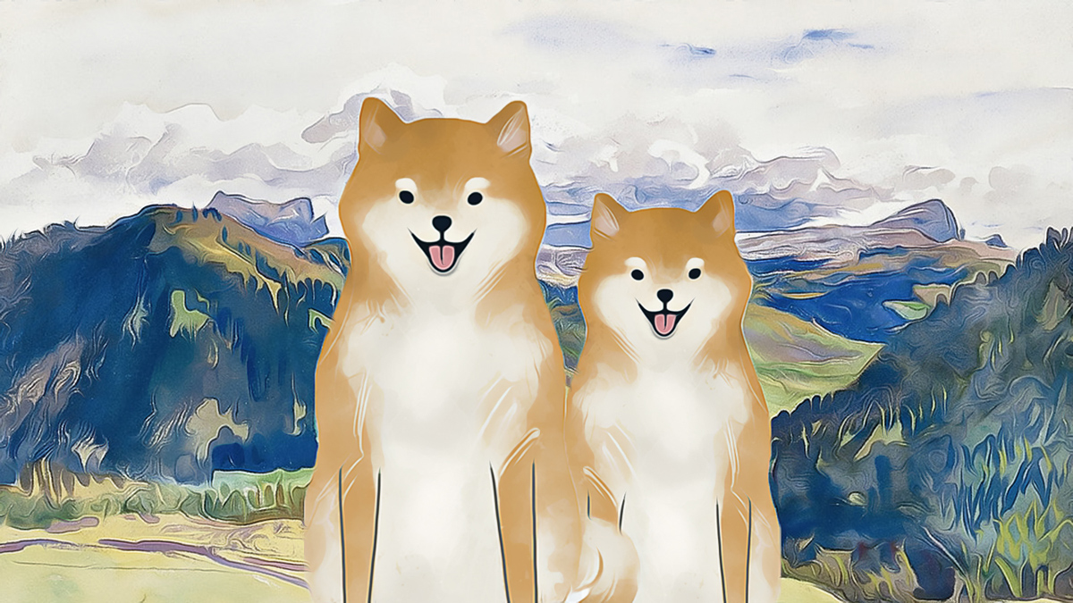 Why Dogecoin Struggles As Other Cryptos Soar