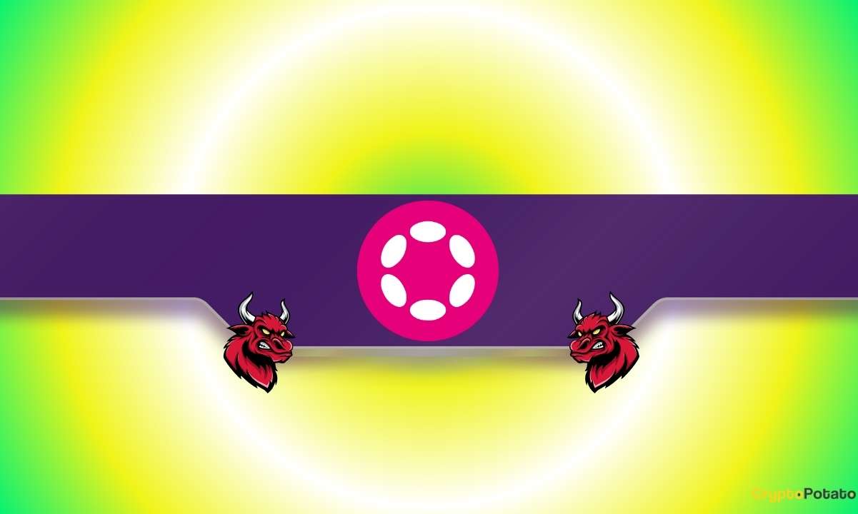 Massive Polkadot (DOT) Rally Ahead? Here’s What’s Driving It