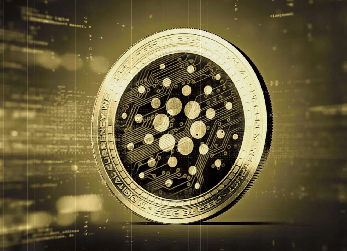 This Altcoin Draws Attention By Surpassing Ethereum (ETH) In Developer Activities!