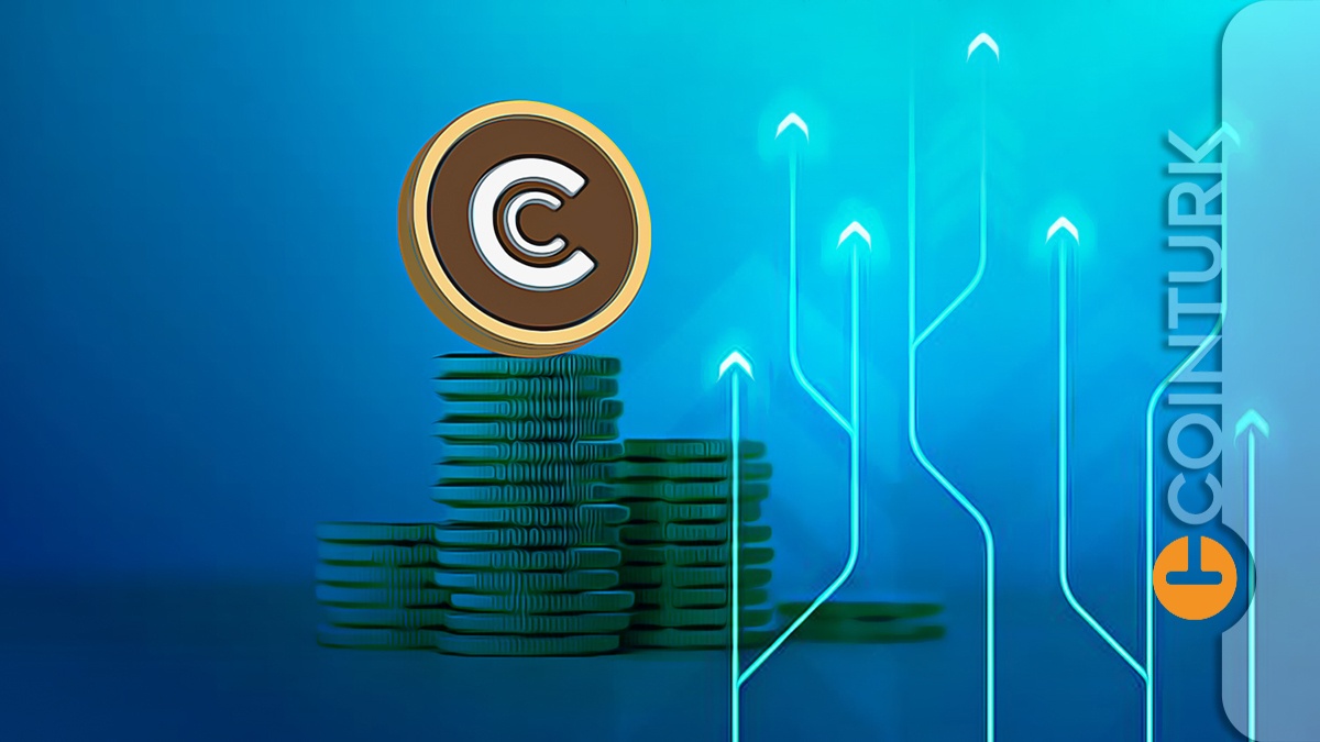 Piyasadaki Düşüşe Meydan Okuyan Altcoin, Değer Artışlarına Devam Ediyor: Yükselişler Devam Edecek mi?