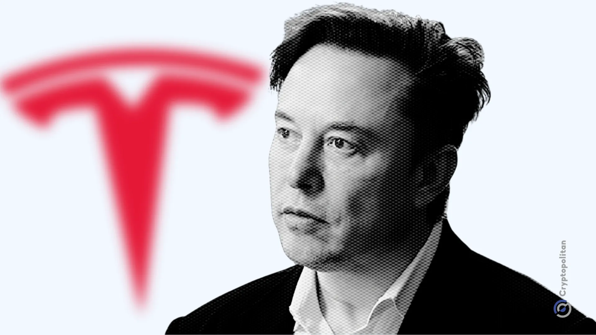 Tesla stock is S&P 500’s best-performing stock today, closes best day of 2025