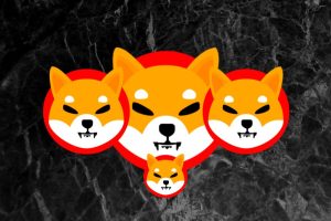 Shiba Inu (SHIB) Is Set for Decentralized Governance: Details