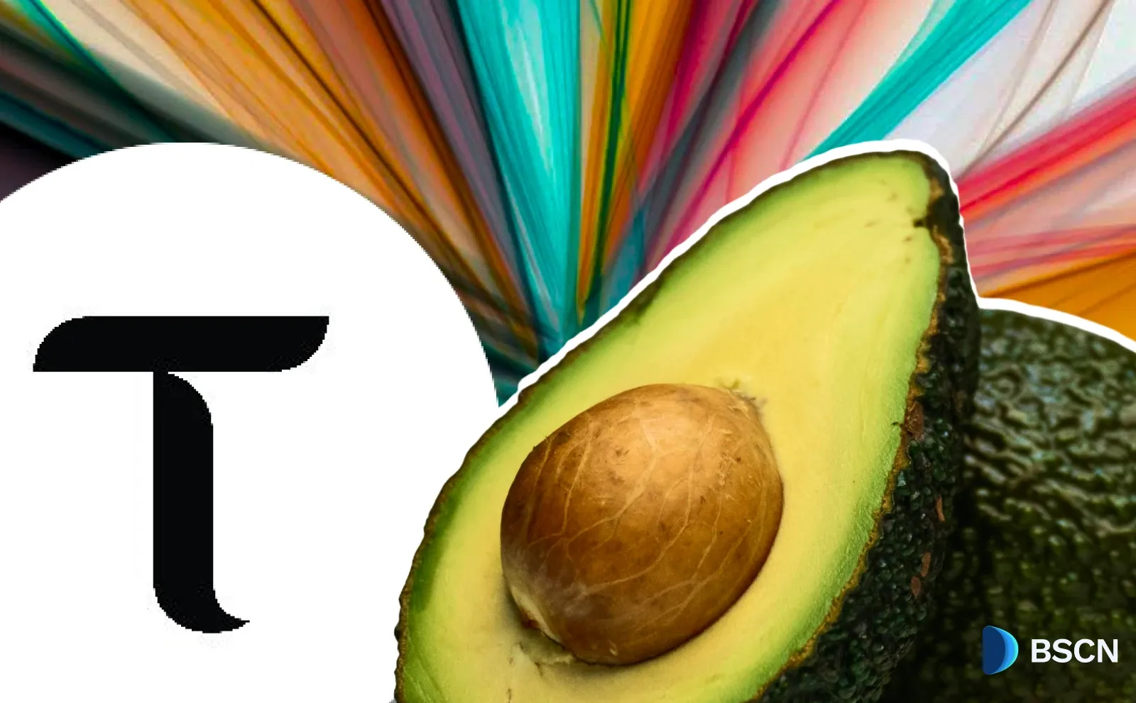 Bittensor’s First Halving Approaches: What Does It Mean for TAO?