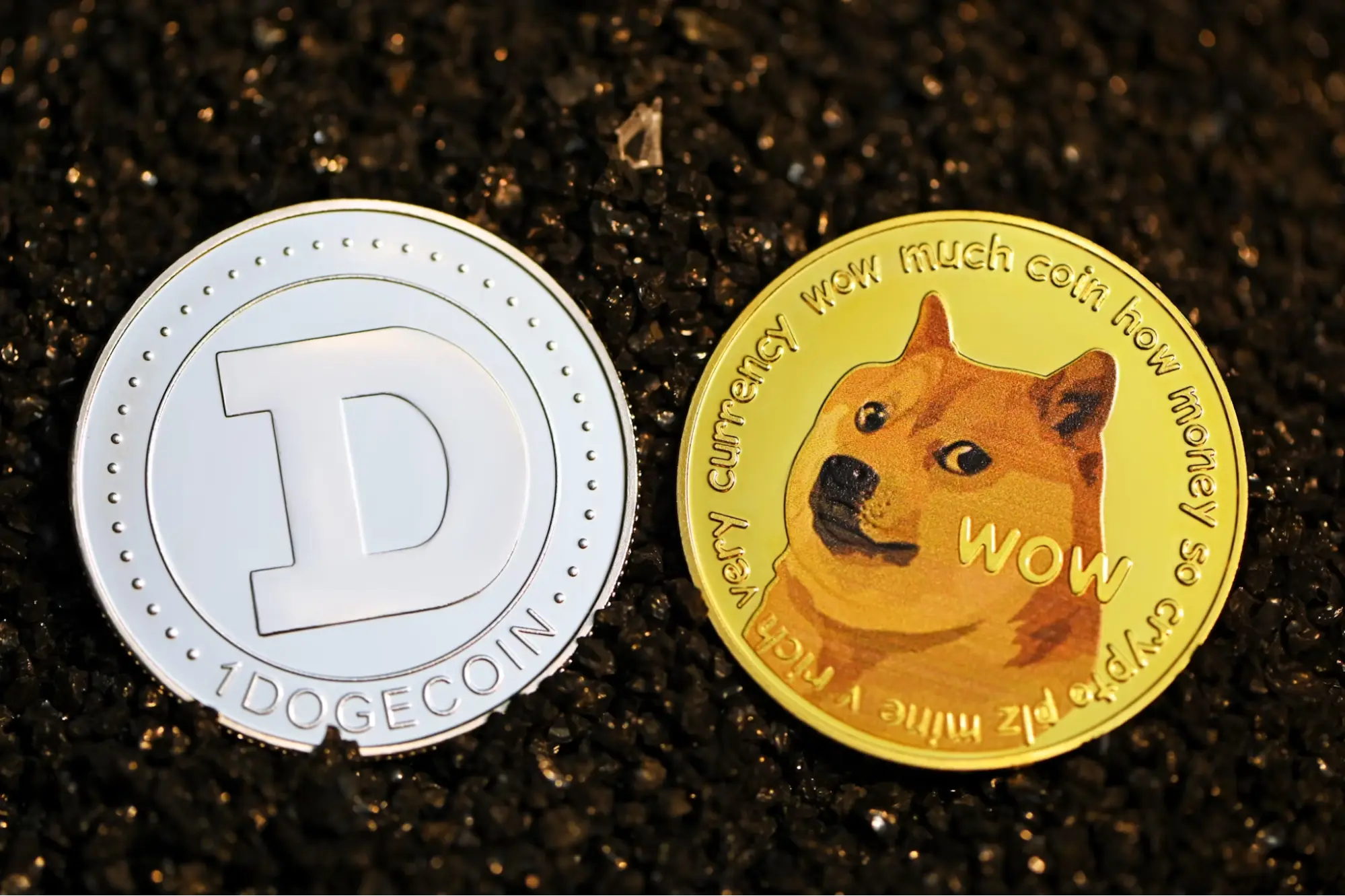 CleanCore Solutions Announces $175 Million Dogecoin Treasury Investment, Stock Takes a Hit