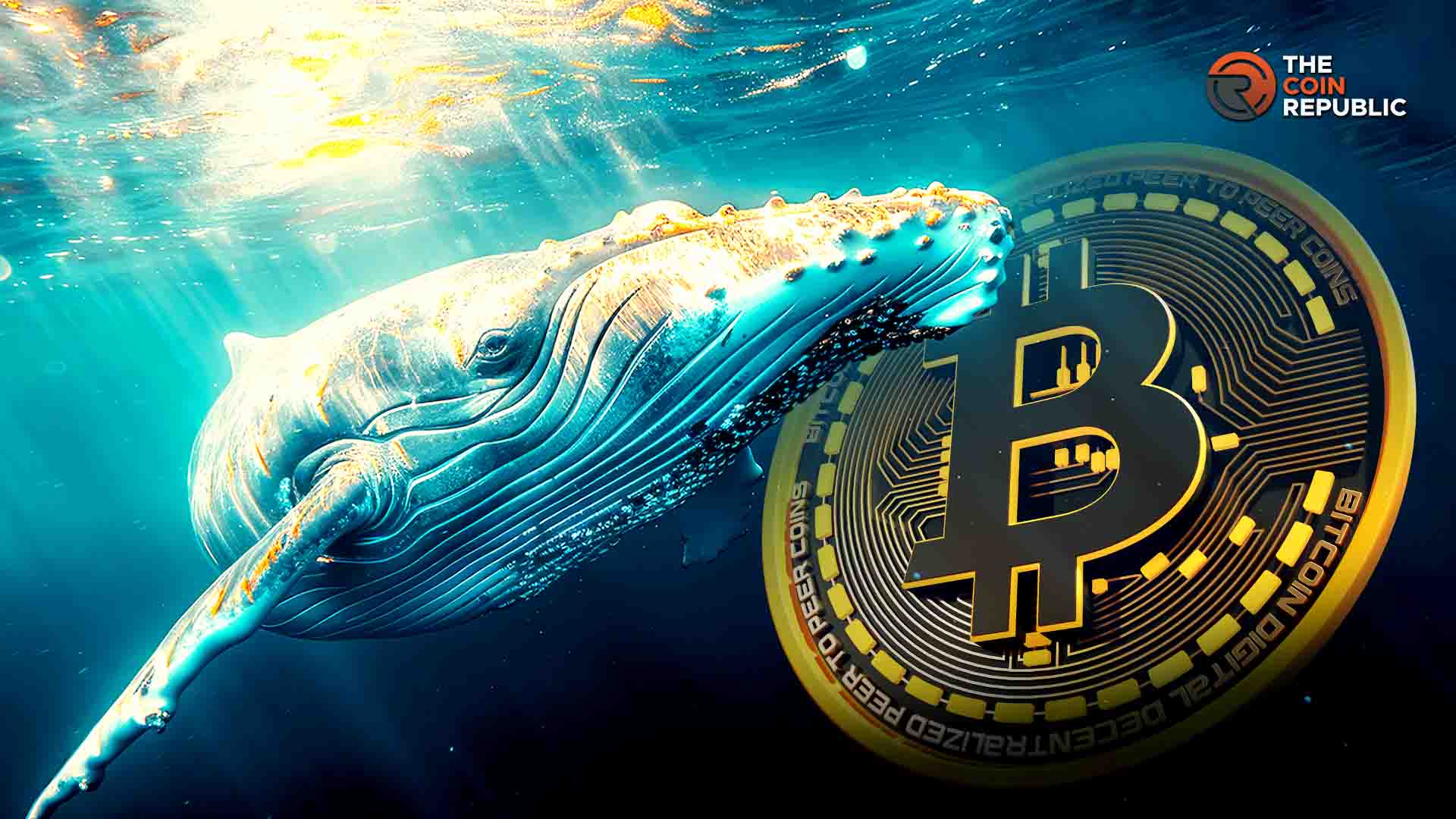 Bitcoin Whale Balances Rise in March After Nearly a Year of Decline: What It Means