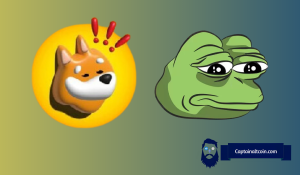 $5,000 in $PEPE or $BONK? The Answer Might Be Clearer Than You Think…