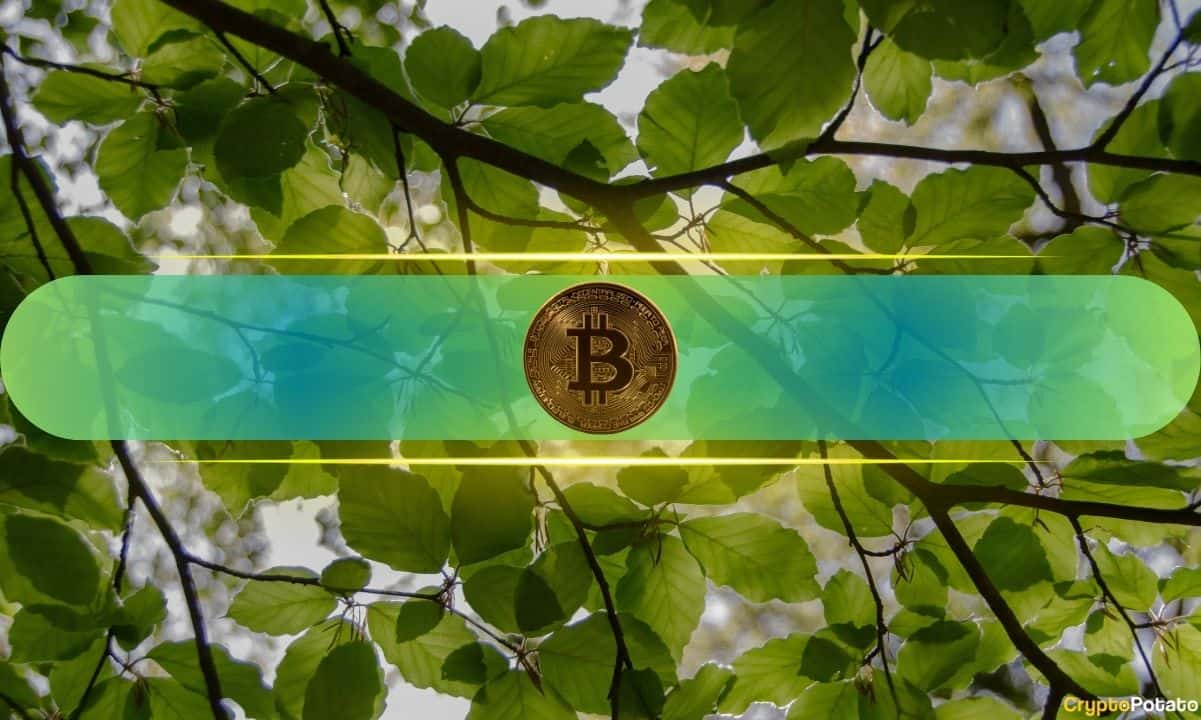 Trader Says Extreme Fear and Death Cross Point to Major Bitcoin Rally