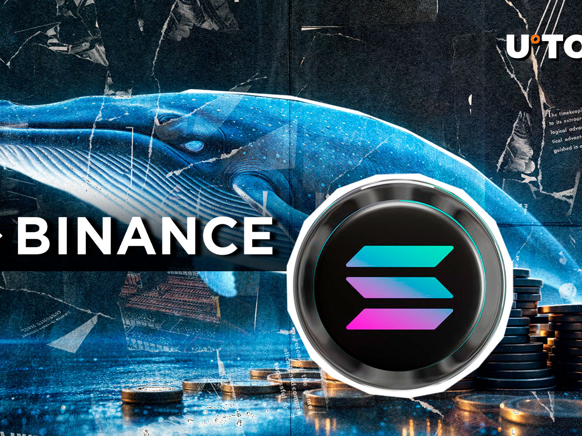 Binance Whales Moving Solana Away in Millions: What's Happening?