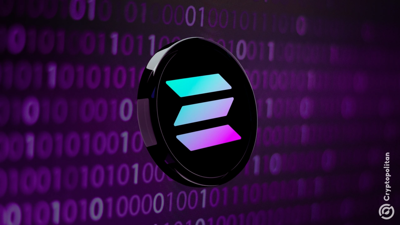 Solana reports DDoS attack detected last week