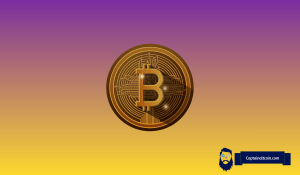 Wall Street Finds a New Revenue Stream in Bitcoin-Backed Loans