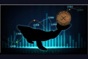 100 Million XRP Moved In Biggest Unknown Whale Transaction In 2025