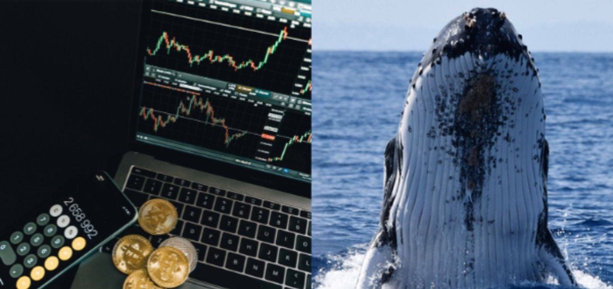 Whales are moving stablecoins onto exchanges fast