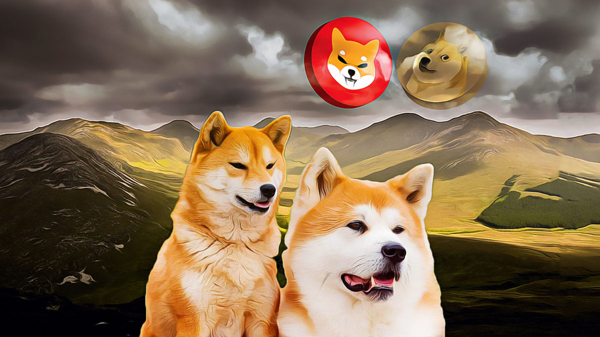 Dogecoin Sees Unprecedented Market Action