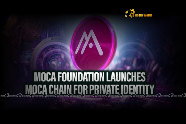 Moca Network: Empowering Users with Revolutionary Decentralized Identity on its New L1