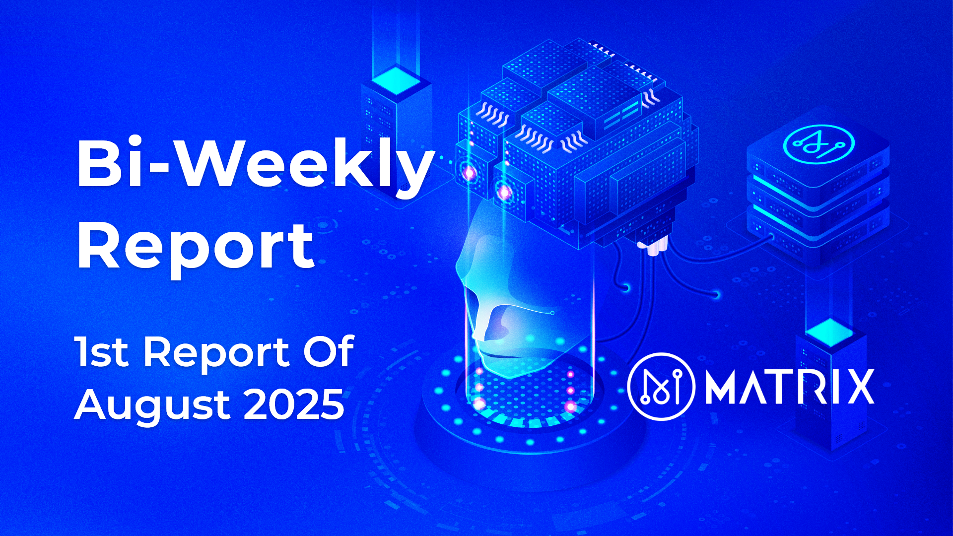 1st Report Of August 2025