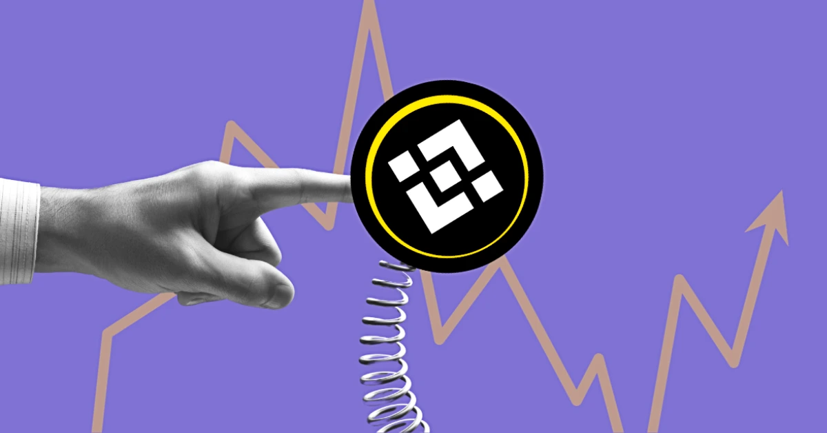 Binance Coin Emerges as Silent Winner Amid the Market Crash: Should You Buy BNB in the Dip?