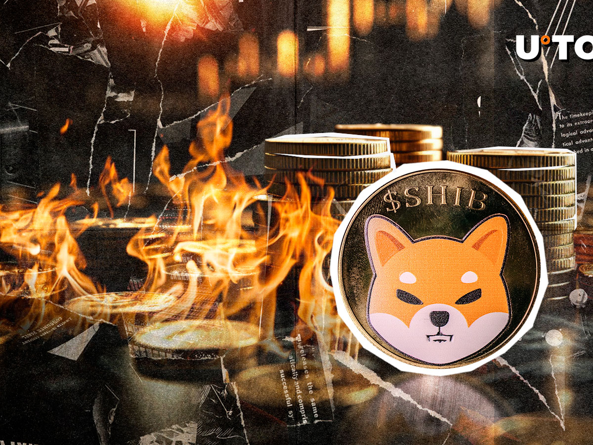 1,002,964,549 SHIB Go As Burn Rate Jumps 8,099%