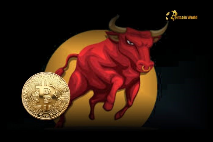 Unwavering Bitcoin Bull Cycle? CryptoQuant CEO Sets Critical BTC Price Level at $75K