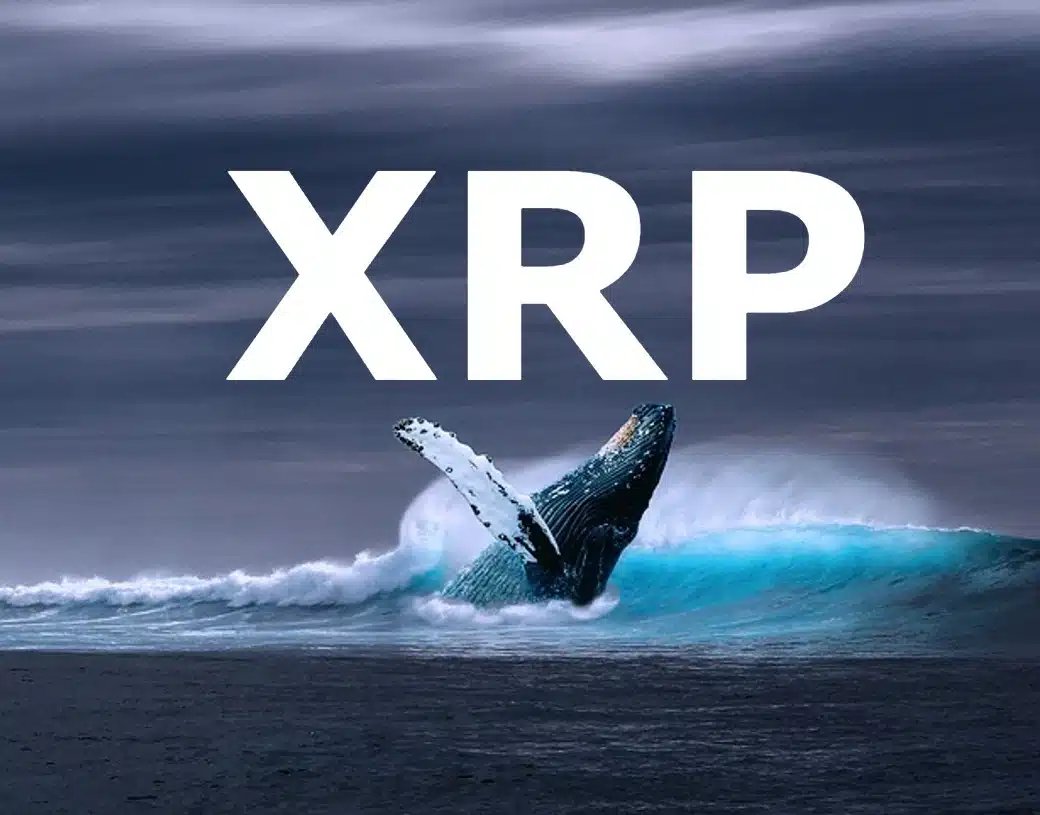2,802 XRP Whales Are Moving Funds – Is Something Coming?