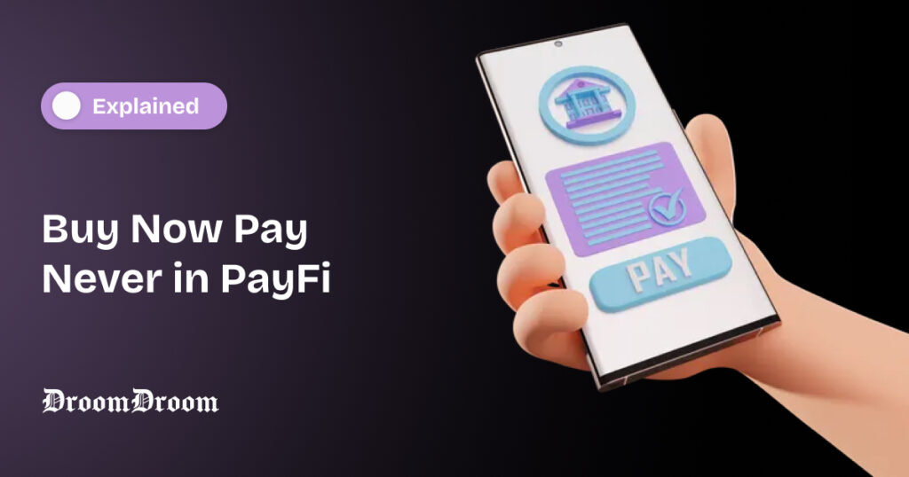 Explaining The Concept of Buy Now Pay Never in PayFi