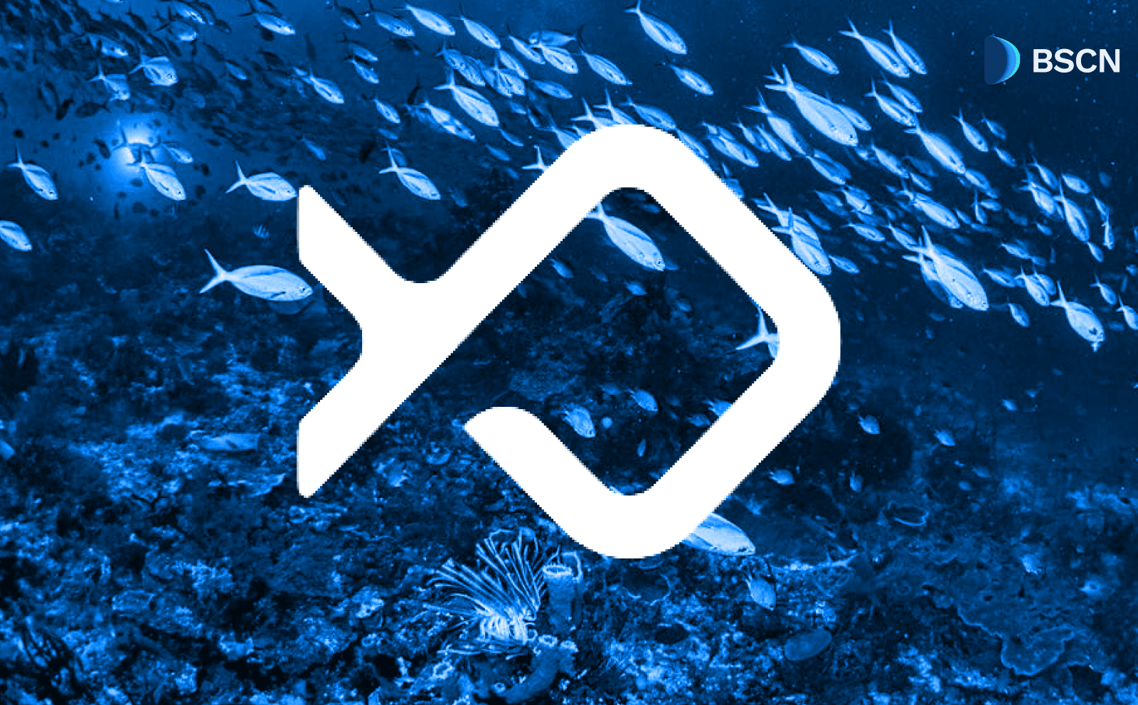 What is Bluefin on Sui Network & How Does It Work?