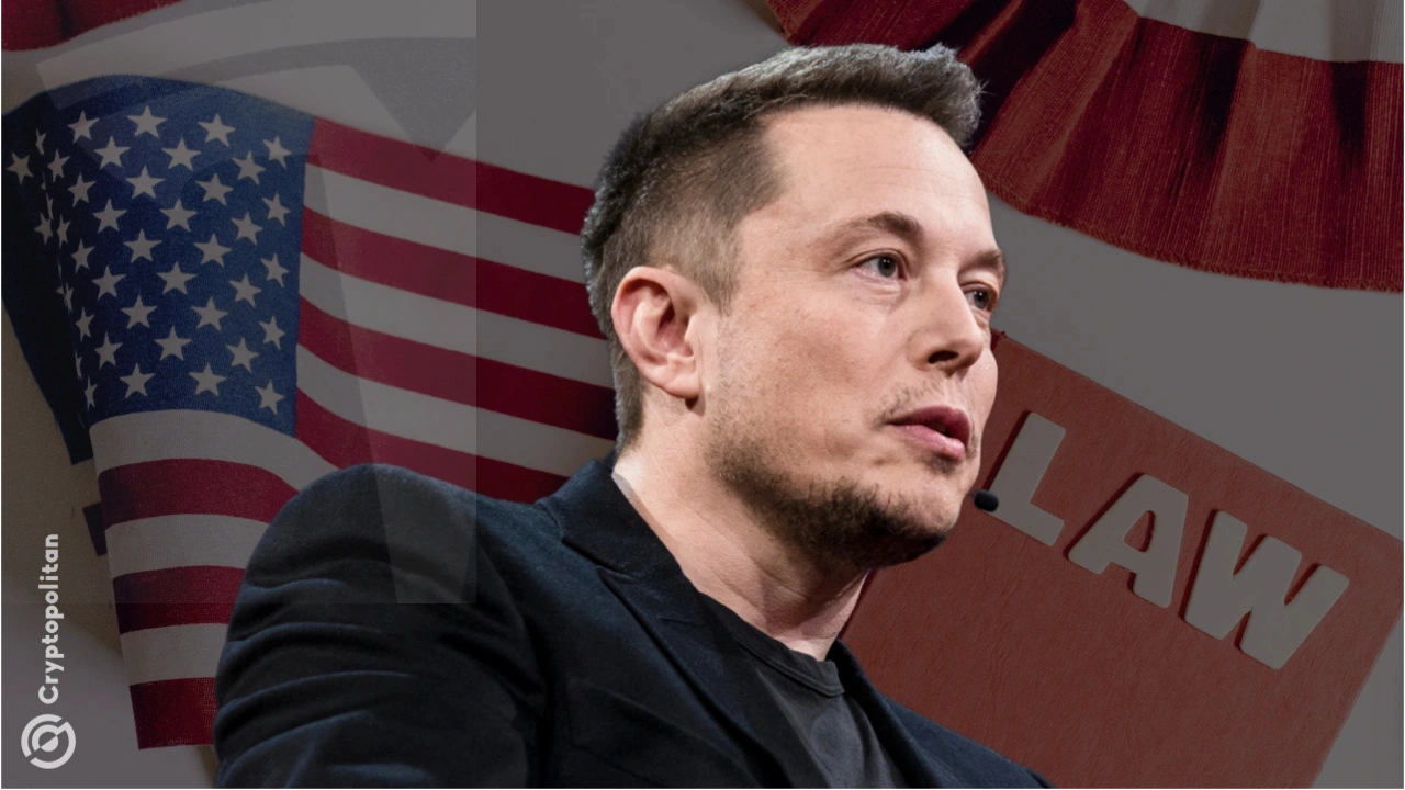 Elon Musk D.O.G.E protesters outside Tesla asking for it to be shut down