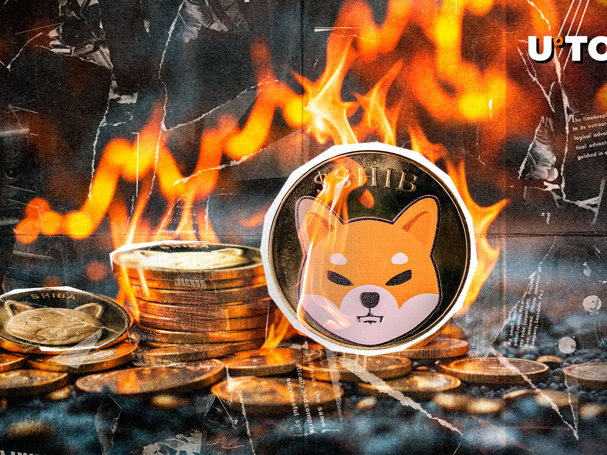 SHIB Burns Jump 984%, but Here's Big Negative Nuance