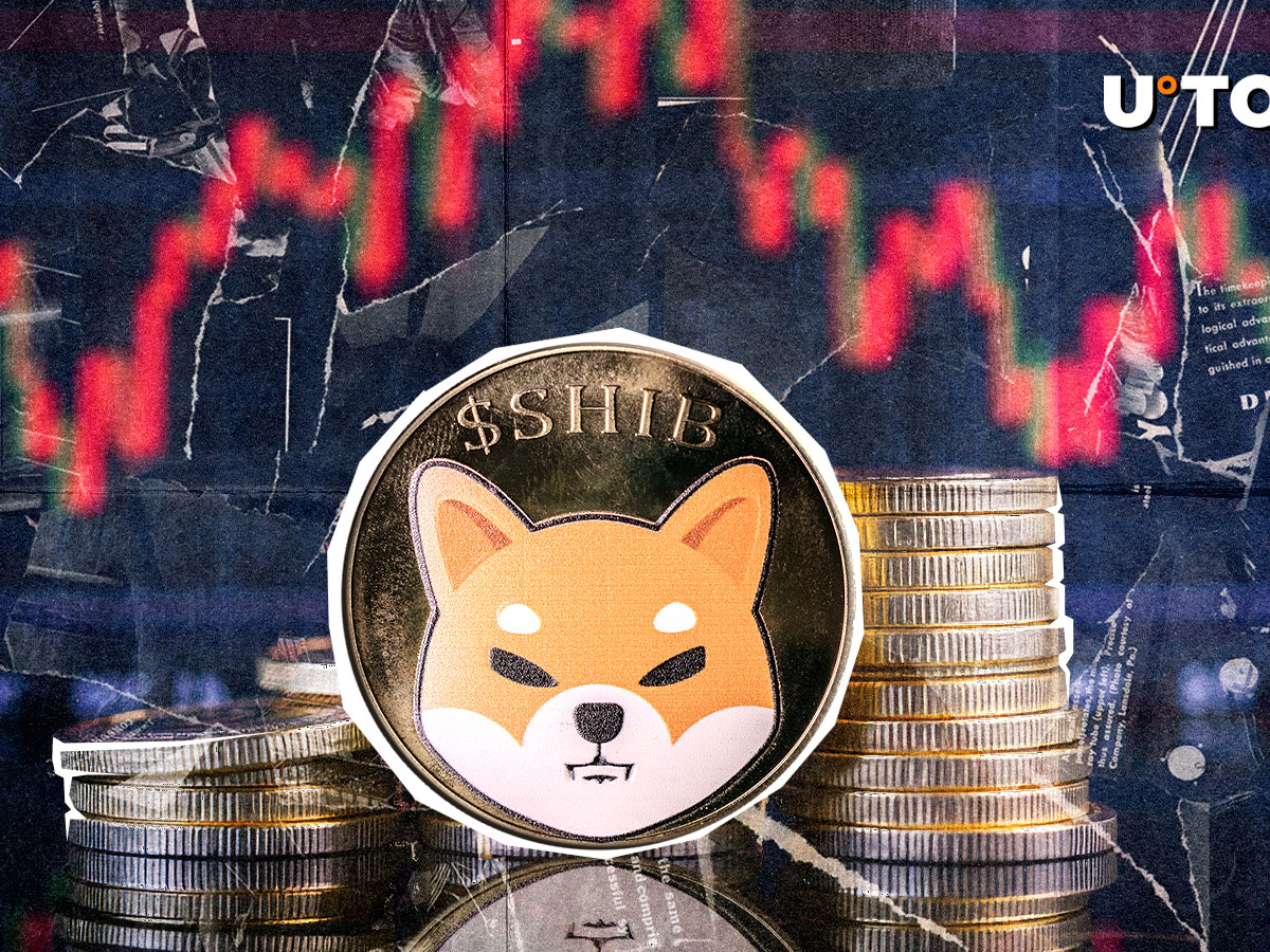 Shiba Inu (SHIB) Lost This Price Level First Time Since 2024