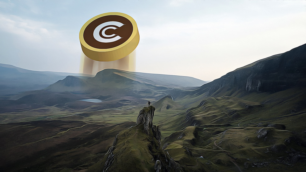 Bitcoin’s Plunge Sparks Buying Opportunities in Altcoins