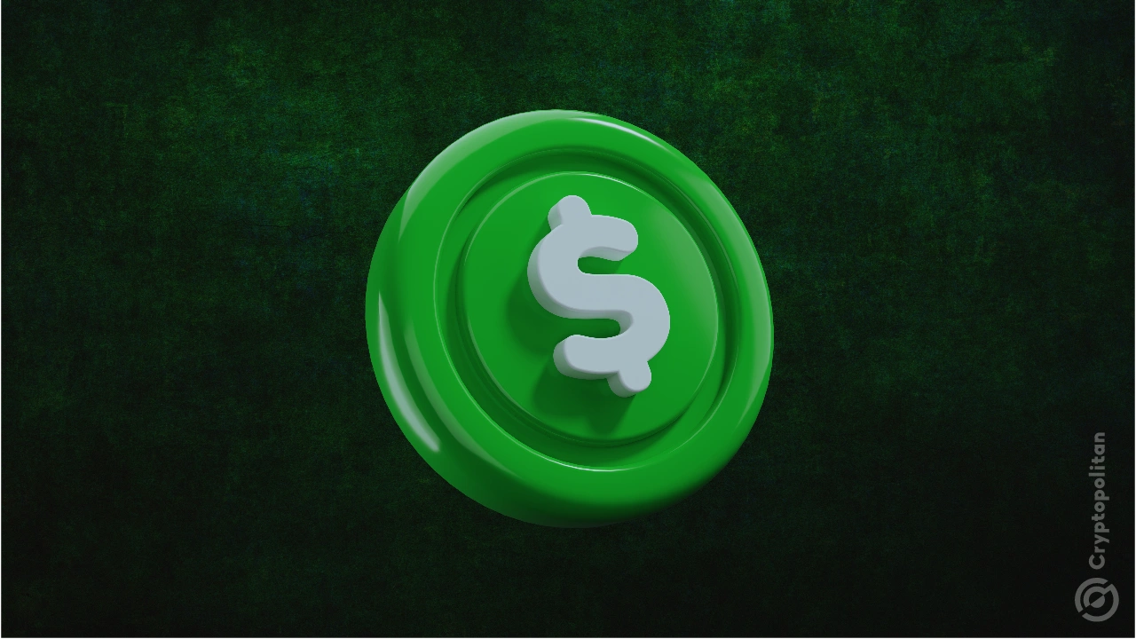 Stablecoin market climbs to $310.117 billion