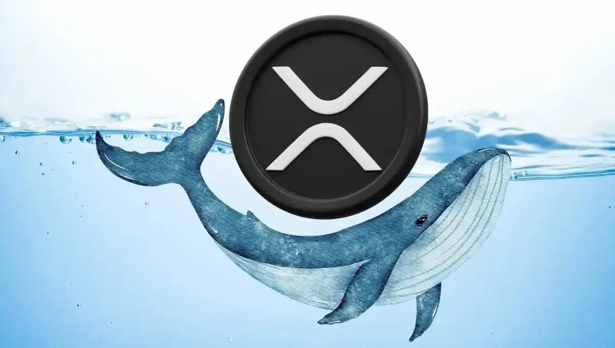 XRP Whale Movements on Binance Hit Record Low Amid Mix Trader Activities – What it Means for XRP