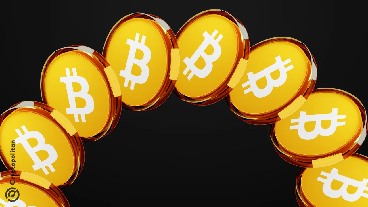 Wholecoiner activity on Binance shows signs of slowing