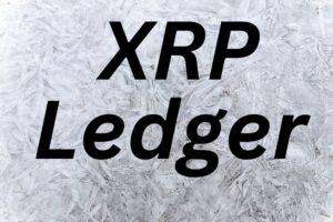 Private Ledgers Operate Independently from Public XRP Ledger, Says RippleX Director of Product