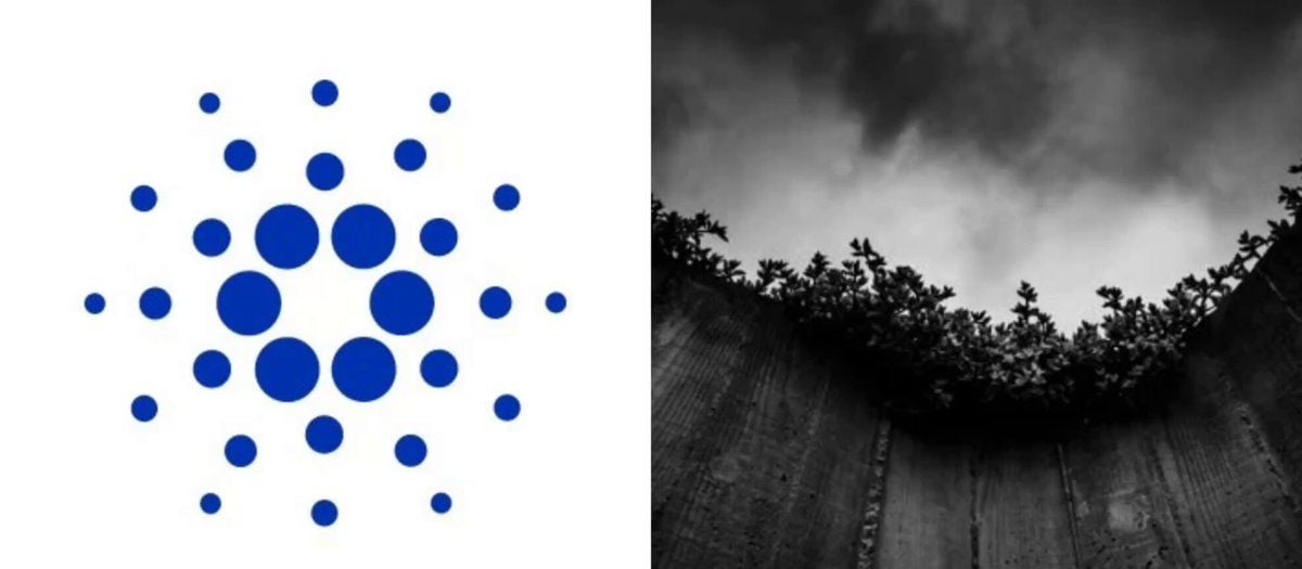Is Cardano The Biggest Winner In The Recent Crypto Surge?