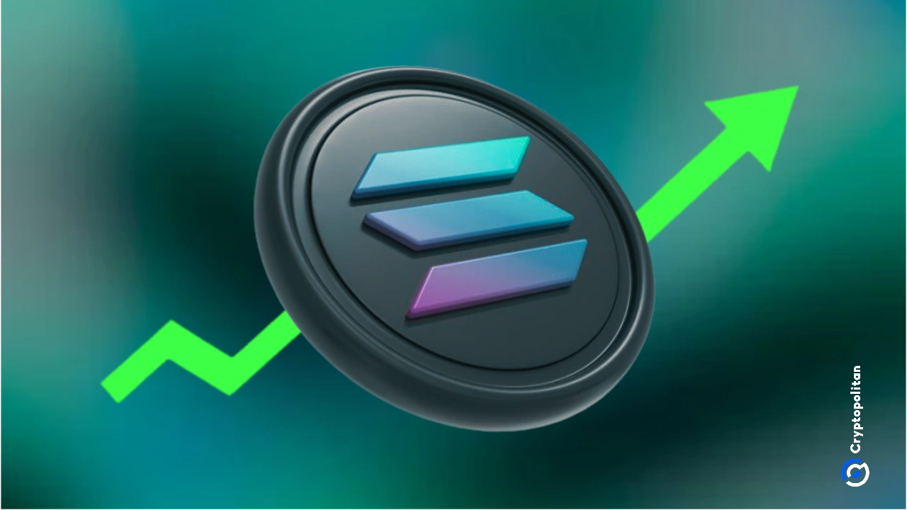 Circle'S Q2 Report: $658 Million In Stablecoin Revenue – The Full Story - ne91jz2