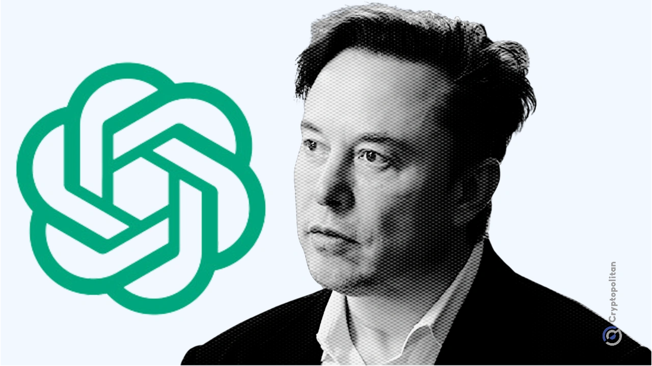 Elon Musk blocked OpenAI’s ICO idea because ‘crypto damages credibility’