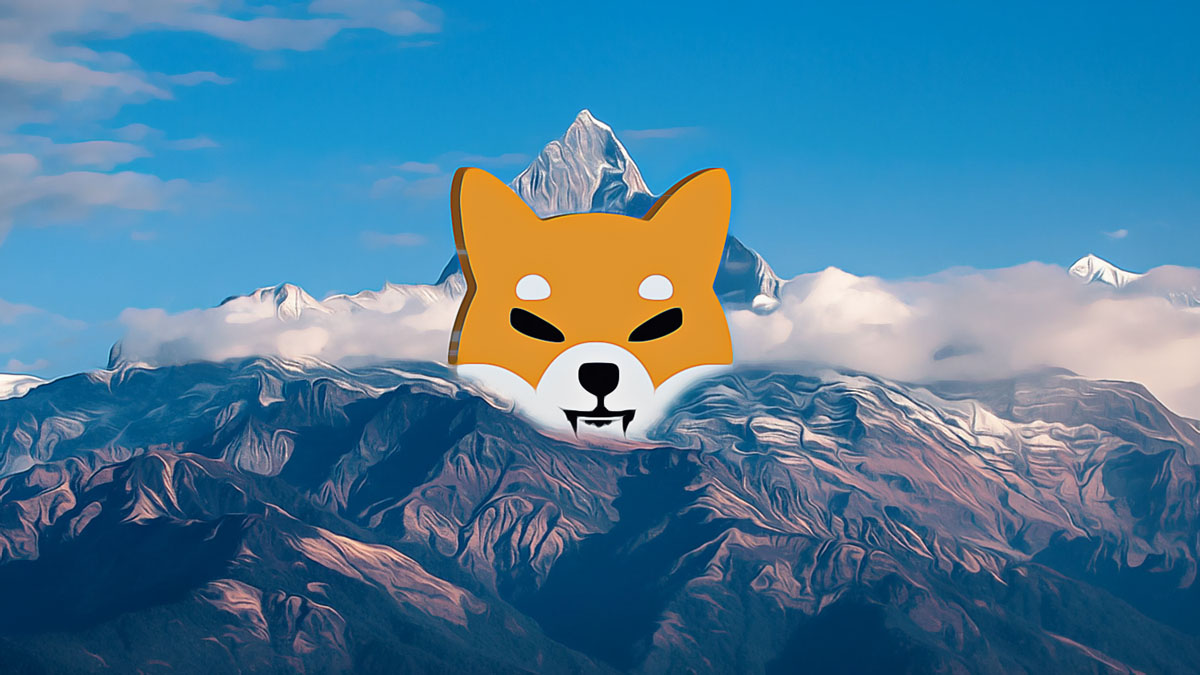 Shiba Inu Community Calls for Leadership Overhaul