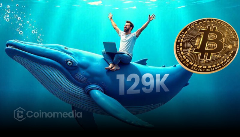 Insider Bitcoin Whale Closes Short Position