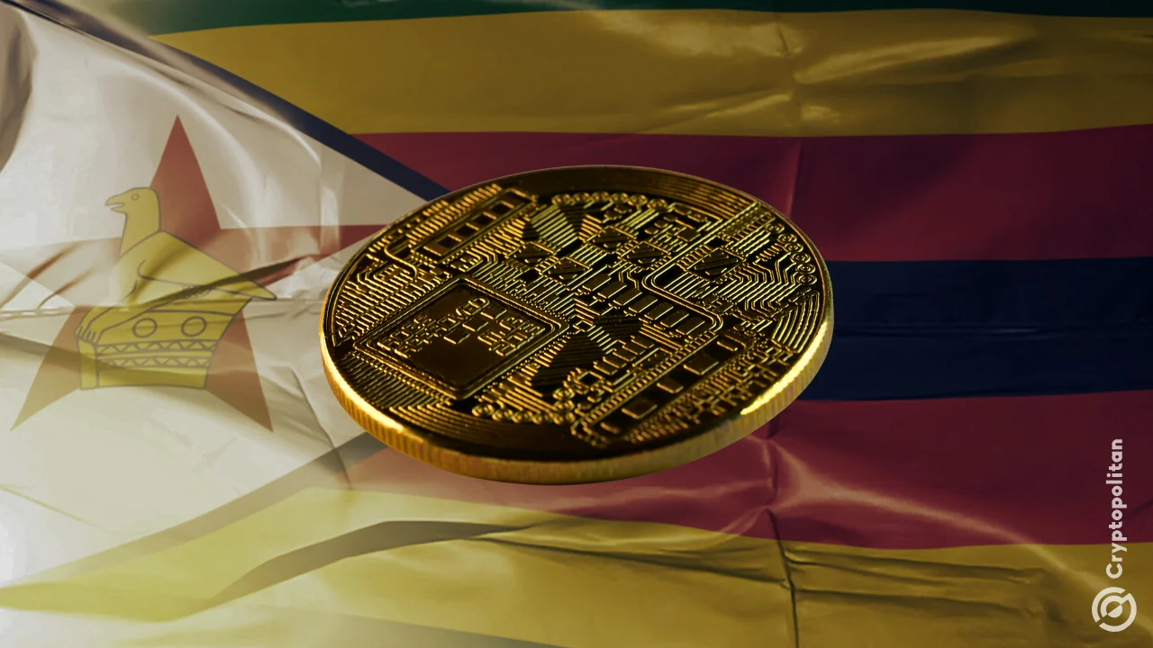 Zimbabwean victim intensifies push to recover $550,000 from scammers