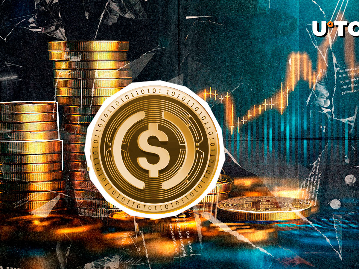 USDC Enters 2025: $20 Trillion Volume, 78% Growth