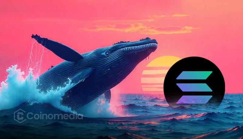 Whales Accumulate $23M in Solana from Exchanges