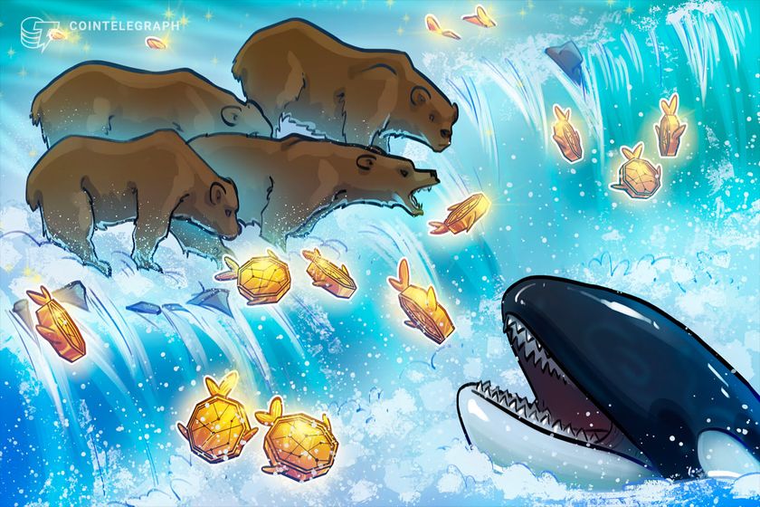 What is a bear raid, and how do whales use them in crypto trading?