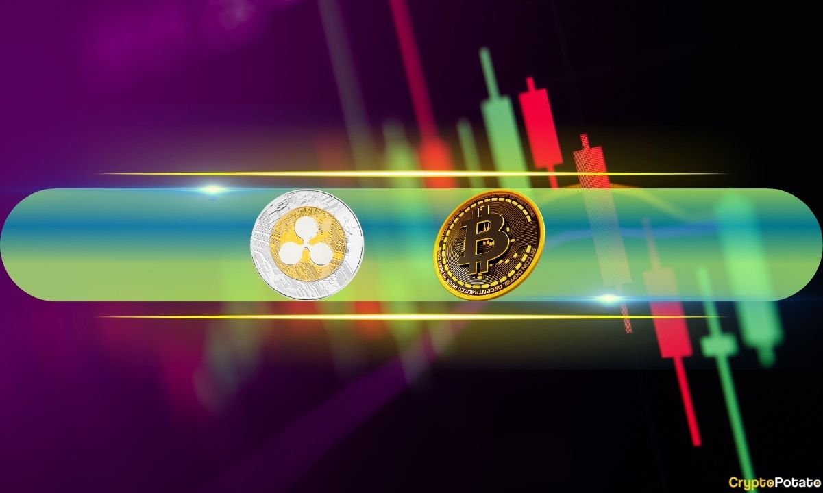 PI and XRP Extend Gains, BTC Reaches 10-Day High (Weekend Watch)