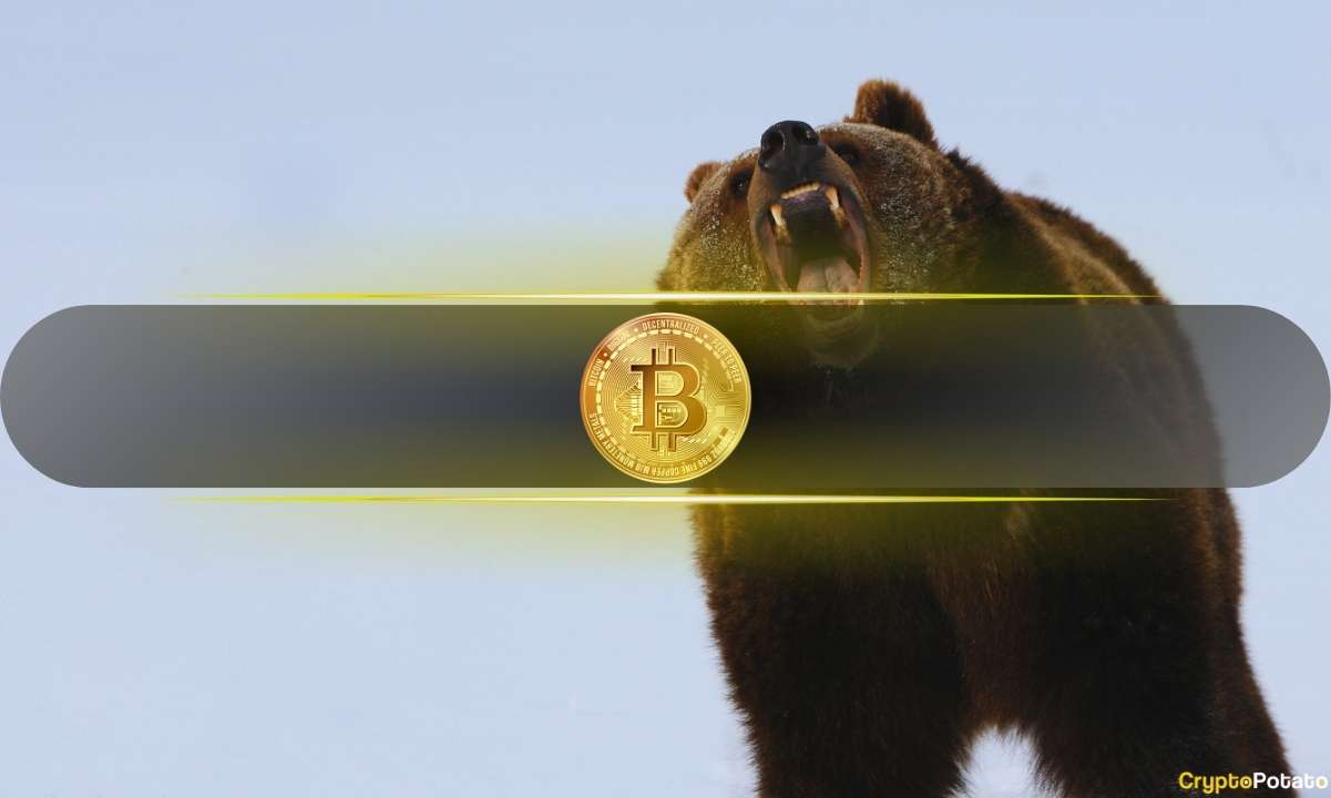 What Crashed the Crypto Market on November 4 and Should You Worry?