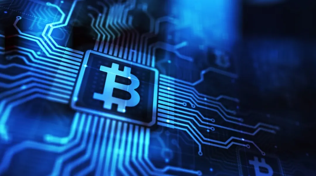 Bitcoin Developers’ Quantum Stance Is Starting to Worry Investors