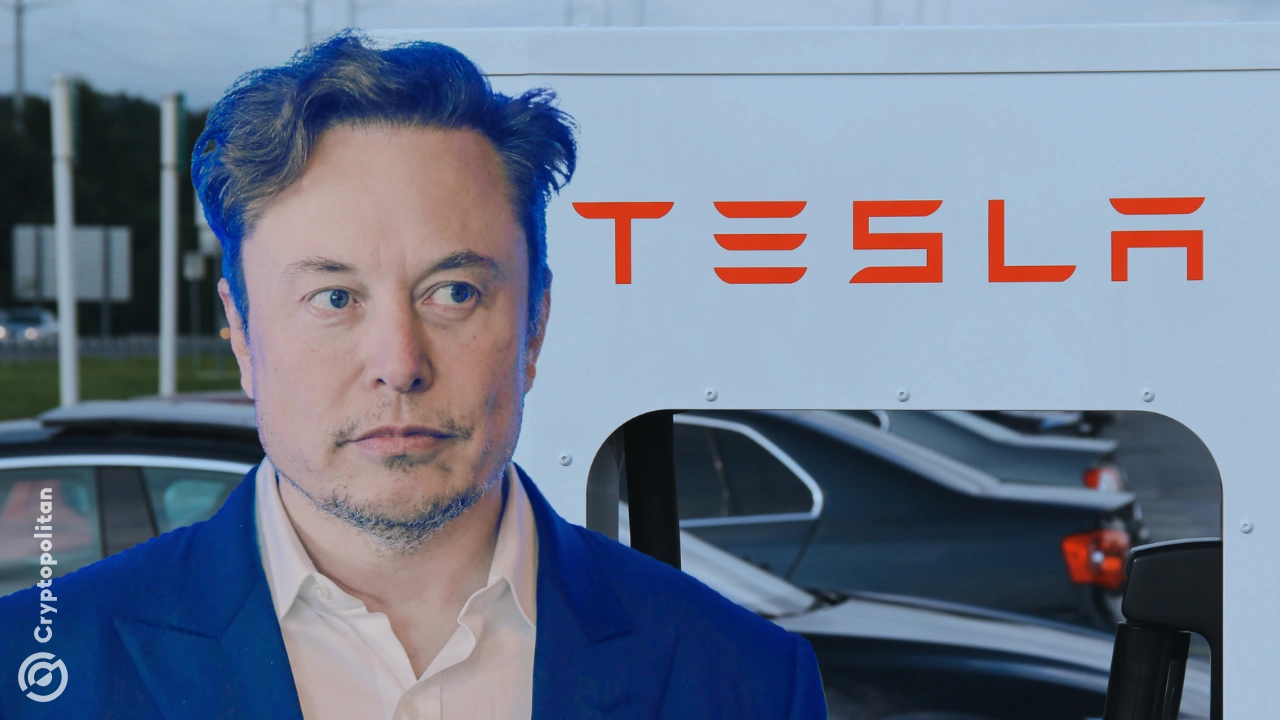 Tesla short sellers make $16 billion as Elon Musk loses $200 billion