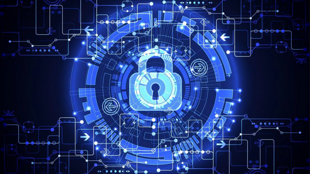 What led to the Rise of Private Blockchain Technologies?