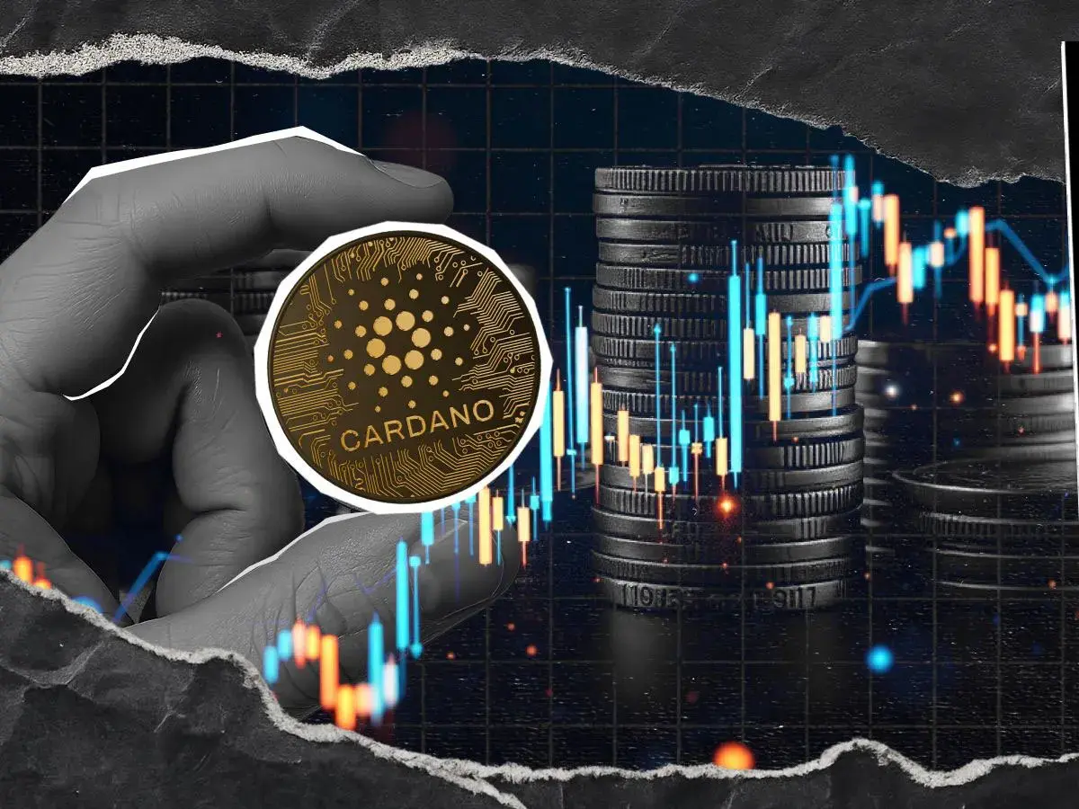 'Beyond Single-Chain Paradigm': Cardano Lays Out Interchain Vision